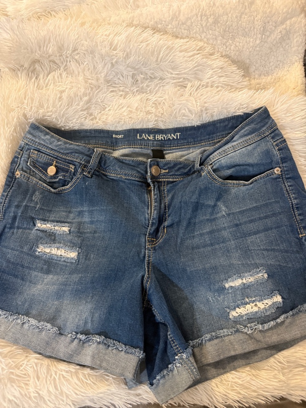 Lane Bryant Blue Distressed Denim Shorts